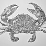 CrabTacos