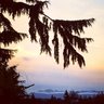 PNWdrizzle