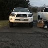 NuttyTacoma