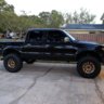 2003MWolf