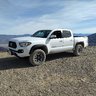 Tacoma.Rovirosa