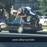 hambler96