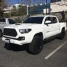 JaviWhiteTacoma