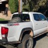 TRD-Fastback