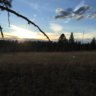 kholstad08