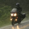 Dragon1300