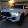 Almaguer475