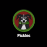 Mr pickles