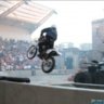 FastWildFree