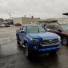 Bluebruiser