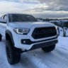 thedailytacoma