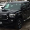 Tim Tacoma