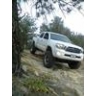 tacody2010