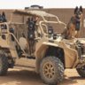 Malinois63