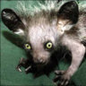 docrader