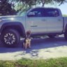 TacoJr.