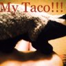 Taco-Badger
