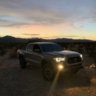 Bonsai Tacoma