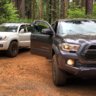 tacoweekendlander
