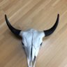 Buffalohunter