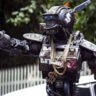 FreddieTheRobot