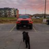 zachary3GT