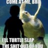1GiantTurtle