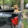 BuckyCanada