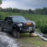 802 taco