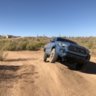 Bull_taco