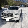 MexicanWolfTaco