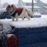 Travelbunny13