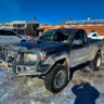 AlphaMoose99