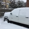 1SnowyTaco