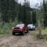 jaredfreeman115