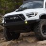 whitetacoon37s