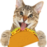 cat taco