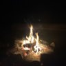 HammerHedCampTRD