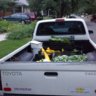 tacotrostel