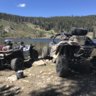 Wiffleking0314TRD