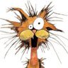 No-Stress Cat