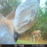 HUNTN247