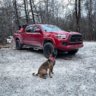 Adventures_in_a_taco