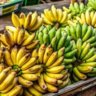 bananaboat