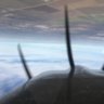 yoloflyer