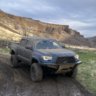 Lewisinthetacoma