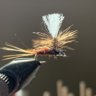 Fly.fishing.taco
