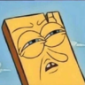 stickbug1