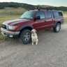 GSO Dogger