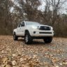 2011tacox